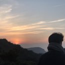 길 위의 중년_사람은 가고 꽃은 지고