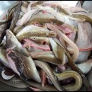 먹을래 싸갈래 이미지