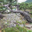 ＜해운대의 뿌리를 찾아서＞ 송정동의 아름다운 풍광과 포구 이미지