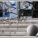 김해세무서 이미지