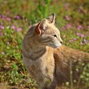 모현동물병원 이미지