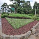 서귀포자연휴양림[동] 제주매일