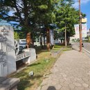 봉평메밀 허생원메밀국수 이미지