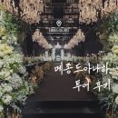 하*호 | 강남 웨딩홀 메종드아나하 투어 후기 : 뷔페 주차 셔틀 총정리 (26 27 견적 식대 공유)