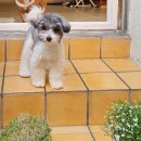 개운한날 이미지