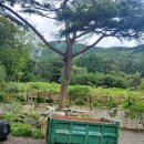 대보자원 이미지