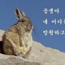가마루 빚은 고등어 이미지
