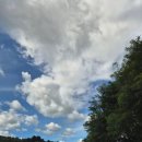 운곡 | [ 원주 여행 ] 치악산 운곡 솔바람 숲길 맨발걷기, 최고의 힐링 코스 🌲👣