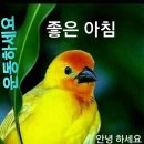 최강드론