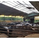 주원목장 이미지