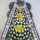 육육플라워
