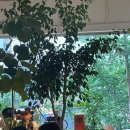 커피나루2 이미지