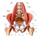 F4GYM(에프포짐) 이미지