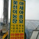 재뜰농장 네이버블로그