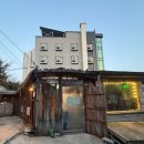 아프리카 | 속초 혼술 성지 ‘아프리카’ 내돈내산 후기 (육사시미 존맛)