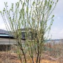 이안농장 이미지