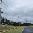 당포민박 이미지