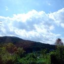 돌산중앙중학교 이미지