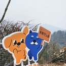 가리벨리 관광펜션 | 포천 애견동반 독채 펜션 몽롱한노을 1박 2일 후기