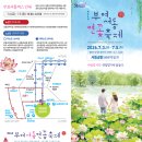 피어난곳