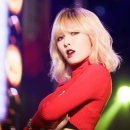 묵이네 냥이 이미지