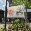 온헤드 | 제천 두피관리 찾다가 다녀온 두피온 헤드스파 60분 솔직후기