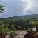 설악스카이 | 속초 1박2일 여행 가볼 만한 곳 추천 [설악산자생식물원 / 설악향기로 스카이워크]