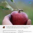 창조농장 이미지