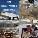 태백축산 | 태백 몽토랑 산양 목장 &amp; 제빵소 방문 후기 / 주차 / 체험료
