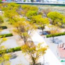 대강오토캠핑장 이미지