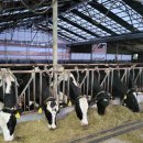 한우가축인공수정소 | [현장 인사이트] 글로벌 1위 카길(Cargill)이 예고한 2026년 사료 시장