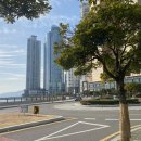 뉴마린빌딩 이미지