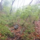 은지초등학교 이미지