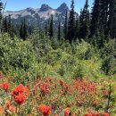 AUTO R S MOTORS 이미지