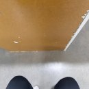 shut up and squat 이미지