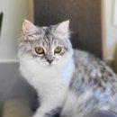 우주동물병원 이미지