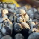 팔마식당 이미지