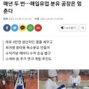 매년 두 번…매일유업 분유 공장은 멈춘다 이미지