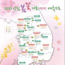 개화 이미지