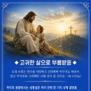고귀