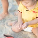 한솔목장 이미지