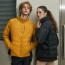 페르시안 캣 이미지