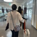 대형기획공연 사마잠 | HKIA 버스 홍콩 마카오 편도 무료 이벤트 신청 및 탑승 방법, 워터쇼 하우스 오브 댄싱 워터 관람 후기)