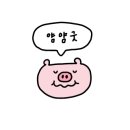 리오당구장 이미지