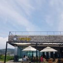 대평낚시터 이미지