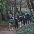 브로스헬스케어 이미지