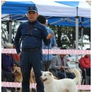 화수초등학교 이미지