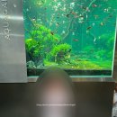 가든치과의원 이미지