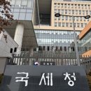 "주가조작 돈 벌어도 세금 못 피한다"... 국세청, 6155억 탈루 적발 기업사냥꾼·허위공시 기업 등 27곳 집중 세무 조사. 이미지