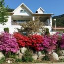 들꽃팬션 앞 이미지